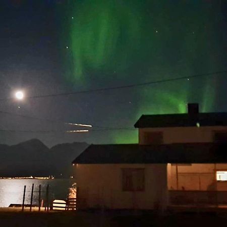 Traditional Farm House Located Close To Fjord Lyngseidet Exterior foto