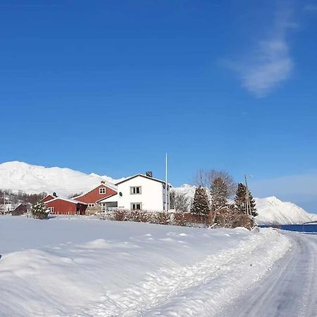 Traditional Farm House Located Close To Fjord Lyngseidet Exterior foto