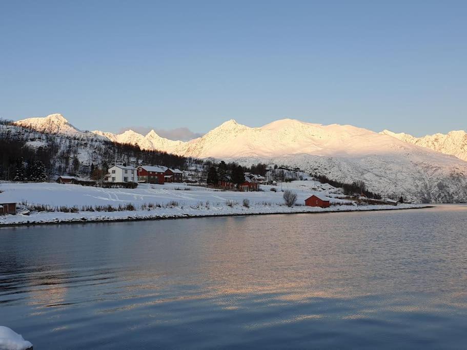 Traditional Farm House Located Close To Fjord Lyngseidet Exterior foto
