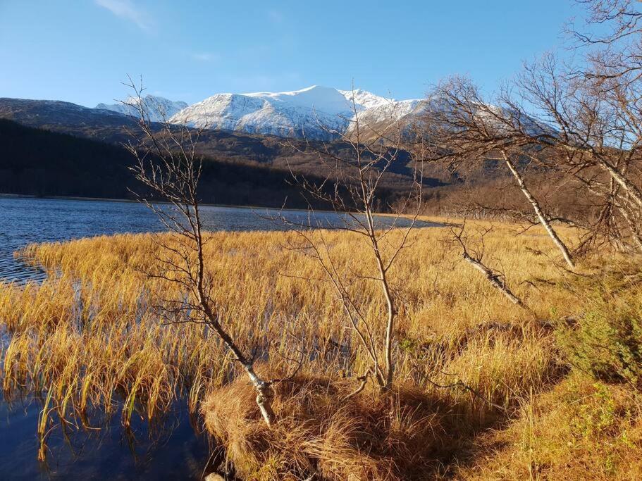 Traditional Farm House Located Close To Fjord Lyngseidet Exterior foto