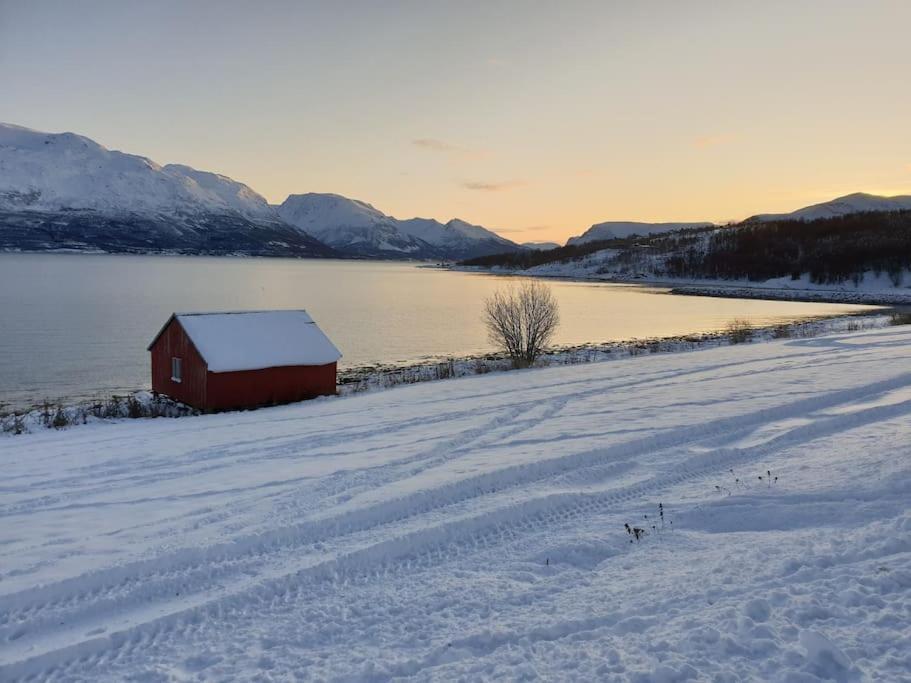 Traditional Farm House Located Close To Fjord Lyngseidet Exterior foto