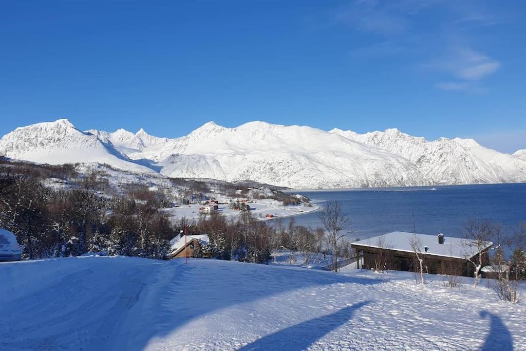 Traditional Farm House Located Close To Fjord Lyngseidet Exterior foto