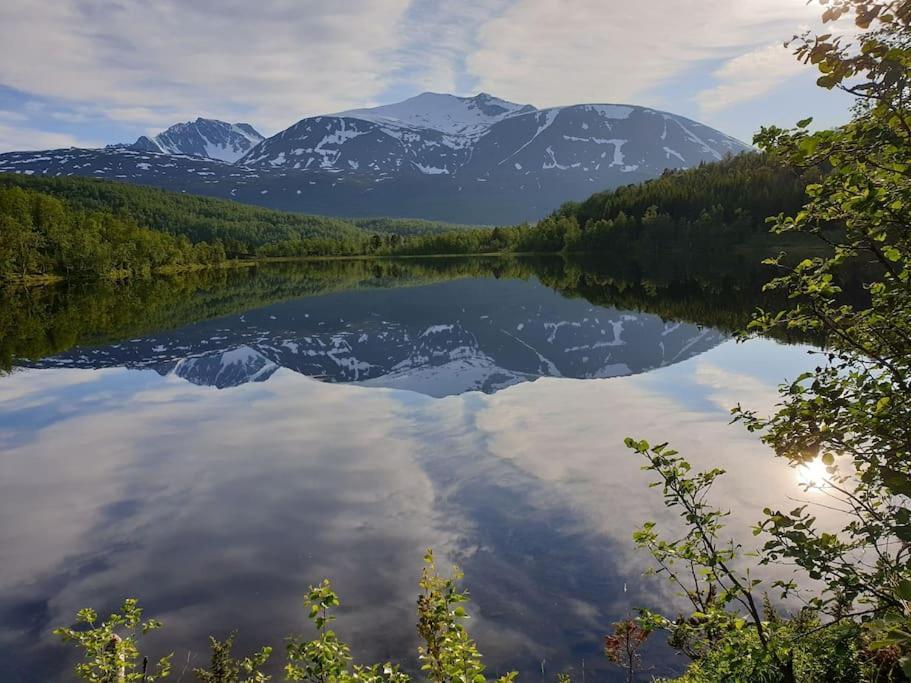 Traditional Farm House Located Close To Fjord Lyngseidet Exterior foto