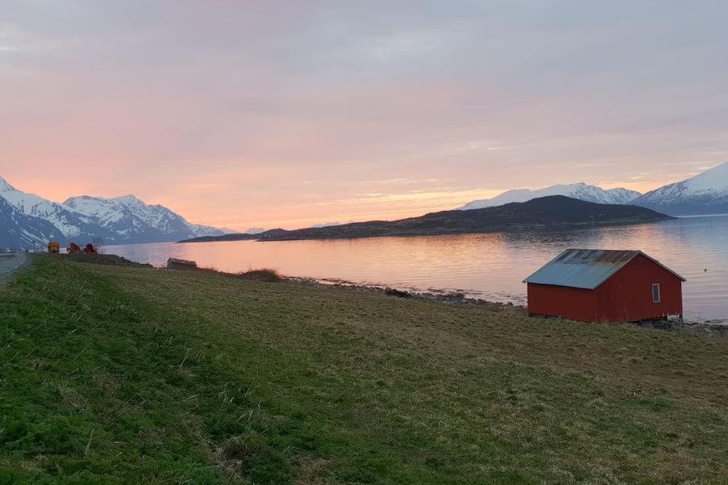Traditional Farm House Located Close To Fjord Lyngseidet Exterior foto