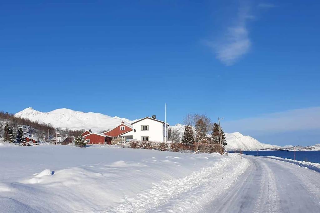 Traditional Farm House Located Close To Fjord Lyngseidet Exterior foto